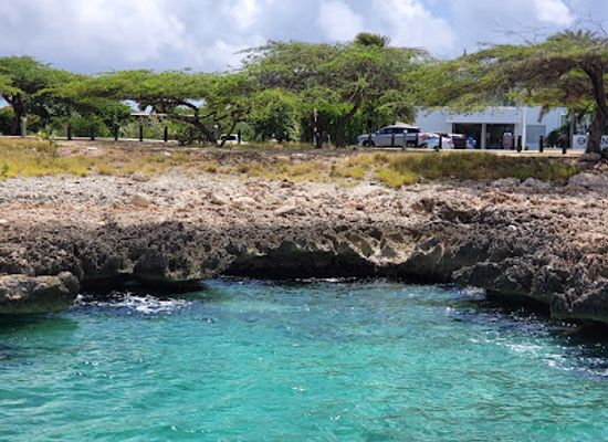 aruba/noord/landmark/jolly-pirates-sailing-cruises-snorkeling