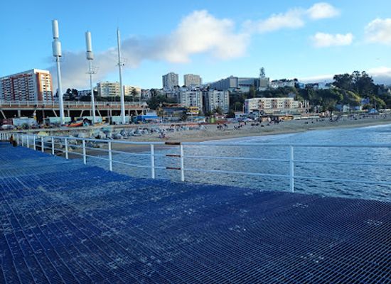 chile/valparaiso/landmark/playa-caleta-portales