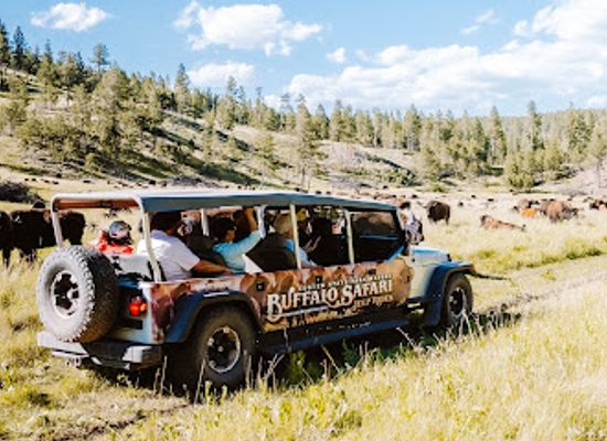 south-dakota/badlands/landmark/buffalo-safari-jeep-tours