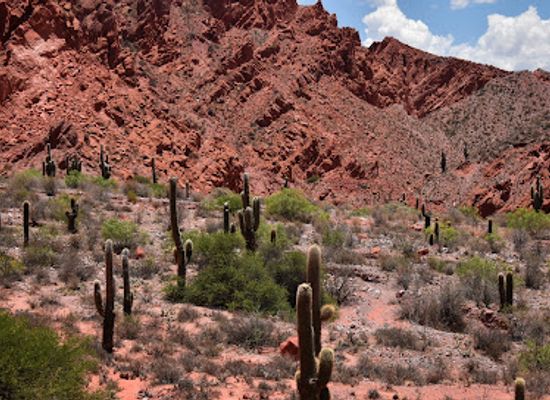 argentina/northwest-argentina/landmark/comienzo-quebrada-de-las-senoritas