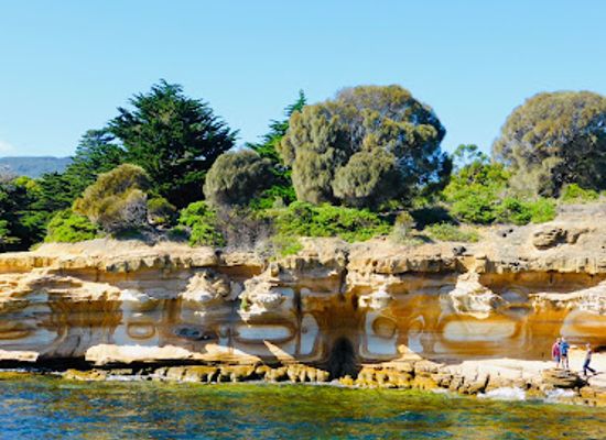 australia/tasmania/landmark/painted-cliffs