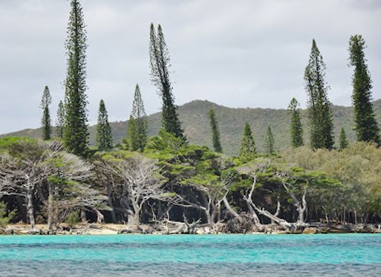 new-caledonia/ile-des-pins/landmark/vestiges-du-bagne-convict-prison-ruins