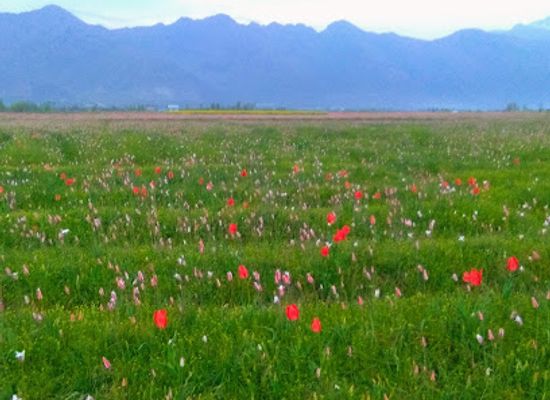 india/kashmir-great-lakes/landmark/kashmir-journey