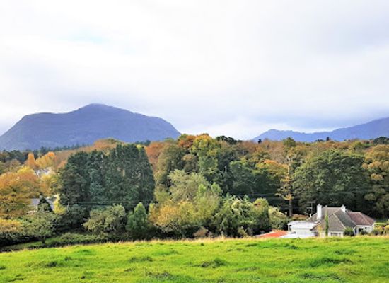 ireland/county-kerry/landmark/killegy-chapel-and-graveyard