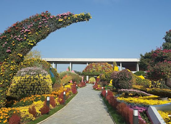 south-korea/suncheon/landmark/dongcheon-gaetbeol-gongyeonjang