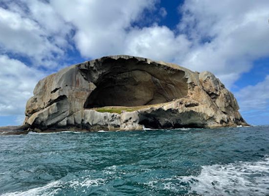 australia/gippsland/landmark/wilsons-promontory-cruises