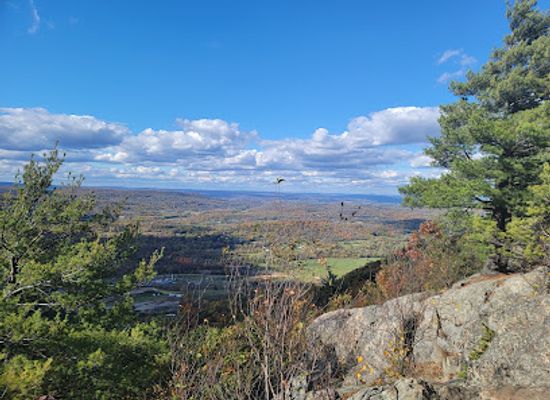 new-jersey/appalachian-trail/landmark/stairway-to-heaven