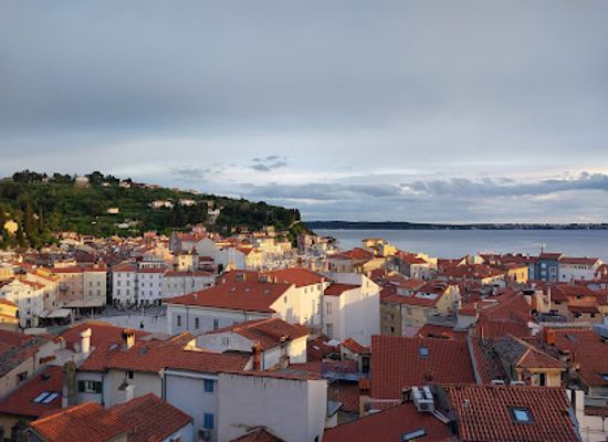 croatia/istrian-peninsula/landmark/street-art