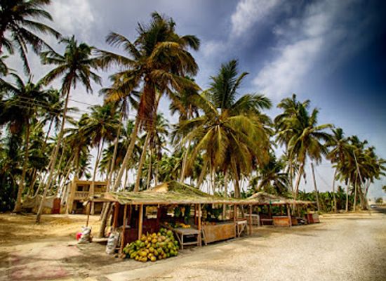 oman/salalah/landmark/coconut-and-banana-shops