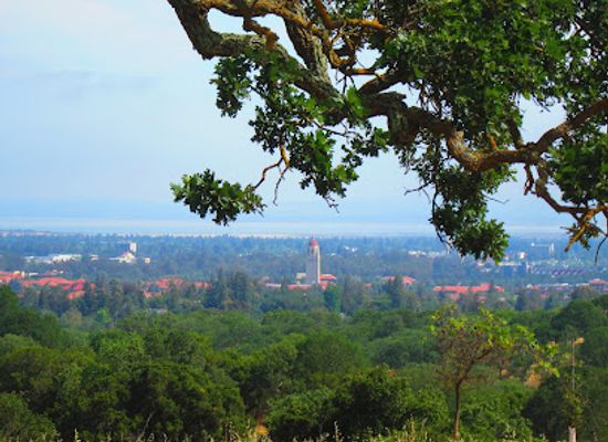 california/palo-alto/landmark/stanford-dish
