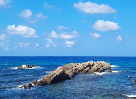 tunisia/the-medjerda-valley/landmark/plage-sidi-el-bechir
