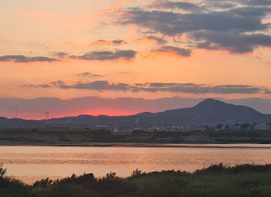 cyprus/larnaca-district/landmark/salt-lake-flamingo-route