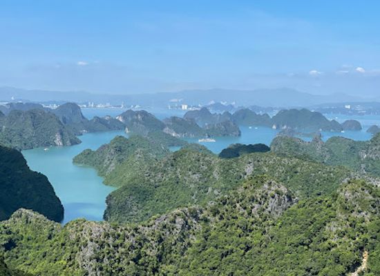 vietnam/cat-ba-island/landmark/navy-peak-telecom-tower