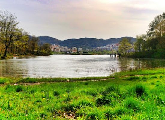 albania/skrapar/landmark/tirana-park