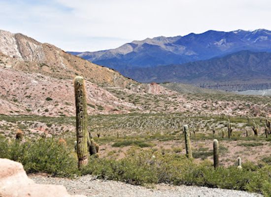 argentina/salta-province/landmark/parque-nacional-los-cardones