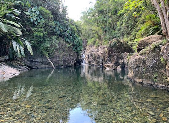 puerto-rico/yunque-national-forest/landmark/las-tinajas-falls