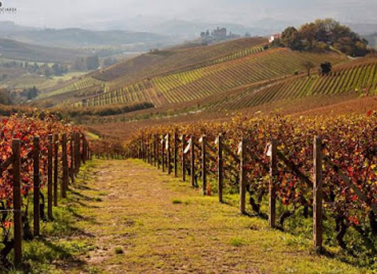 italy/langhe/landmark/le-langhe