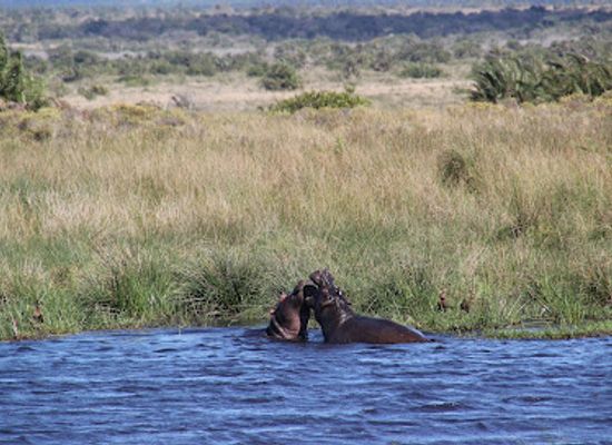 south-africa/zululand/landmark/isimangaliso-wetland-park