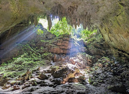 puerto-rico/camuy-river-cave-park/landmark/parque-nacional-de-las-cavernas-del-rio-camuy