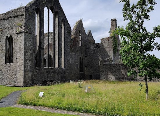 ireland/ennis/landmark/ennis-friary