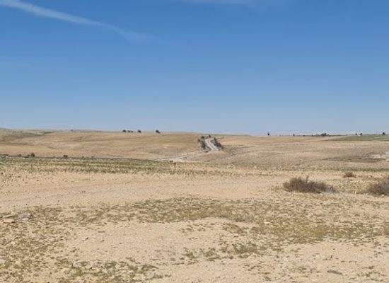 jordan/tafileh-highlands/landmark/da-janiya-roman-fortress-c-300ce