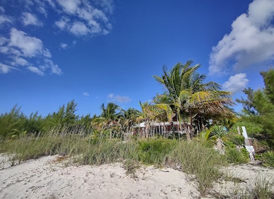 the-bahamas/grand-bahama/landmark/diamonds-by-the-sea