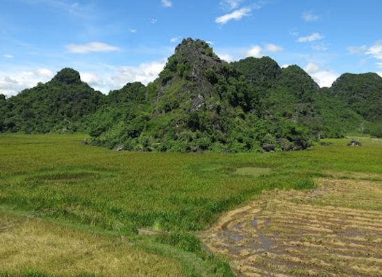 vietnam/central-highlands/landmark/the-duck-stop