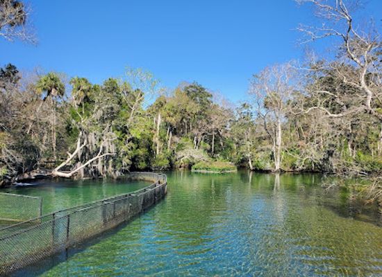florida/homosassa-springs/landmark/ellie-schiller-homosassa-springs-wildlife-state-park-west-entrance