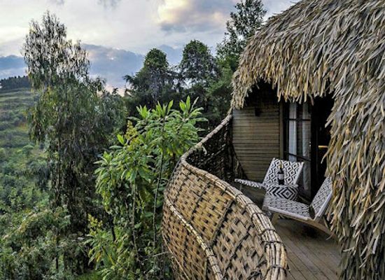rwanda/ruhengeri/landmark/wilderness-bisate