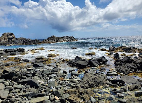 aruba/santa-cruz/landmark/rancho-loco
