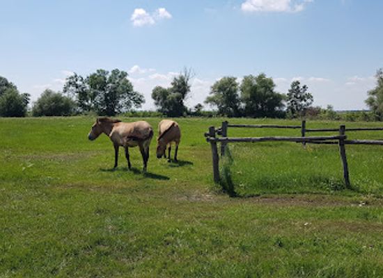 hungary/hortobagy/landmark/hortobagy-wild-animal-park