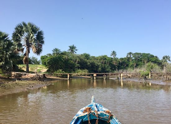 the-gambia/western-region/landmark/kotu-stream