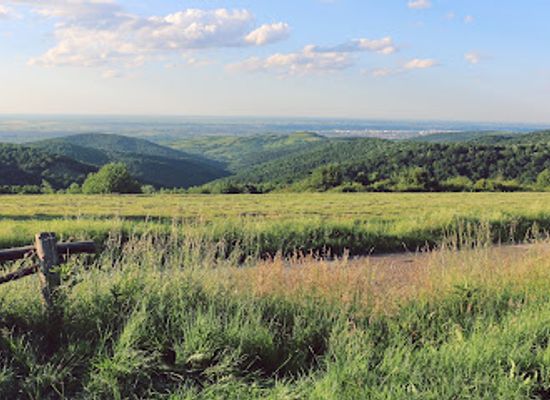 serbia/fruska-gora-national-park/landmark/vidikovac-brankovac