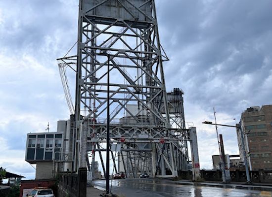 new-york/buffalo/landmark/swannie-house