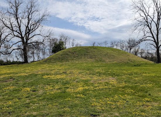 tennessee/middle-tennessee/landmark/fewkes-mound-archaeological-site
