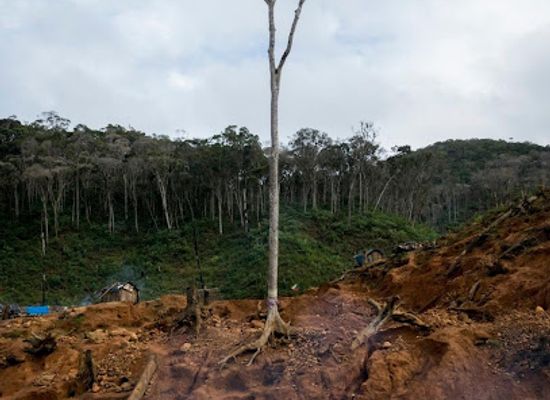 madagascar/atsinanana/landmark/zahamena-national-park