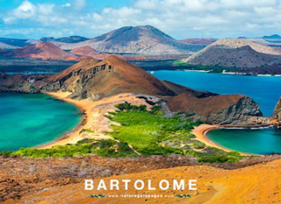 ecuador/amazon/landmark/galapagos-tours-nature-galapagos-ecuador