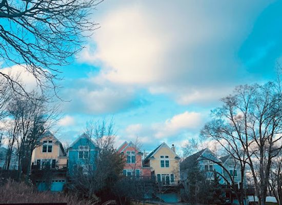 michigan/ann-arbor/landmark/the-painted-ladies-of-ann-arbor