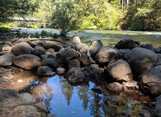 oregon/umpqua-valley/landmark/bigelow-hot-springs