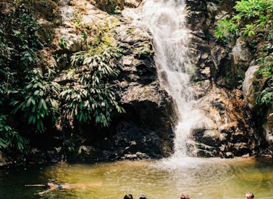 colombia/santa-marta/landmark/day-hike-in-minca-and-driver