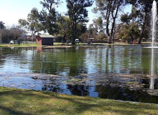 south-africa/free-state/landmark/kings-park-rose-garden