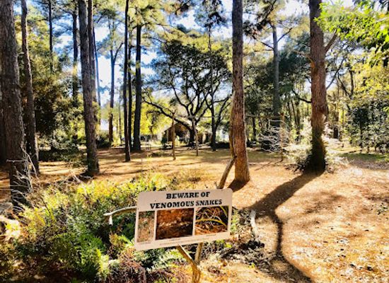texas/piney-woods/landmark/kleb-woods-nature-preserve-and-center