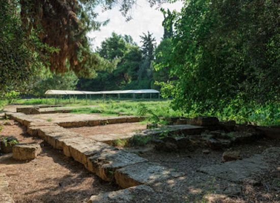 greece/attica/landmark/plato-s-academy-park