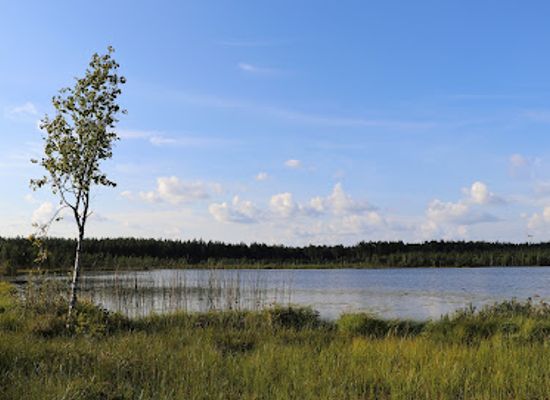 latvia/latgale/landmark/teirumniki-bog-trail