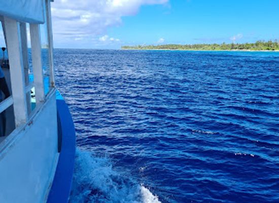 maldives/seenu-atoll/landmark/forest-blu-maldives