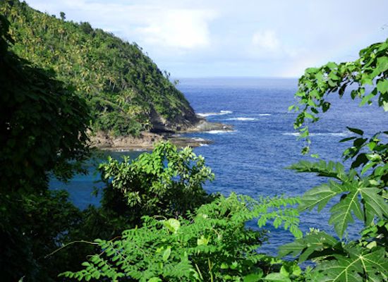 dominica/emerald-pool/landmark/kalinago-barana-aute
