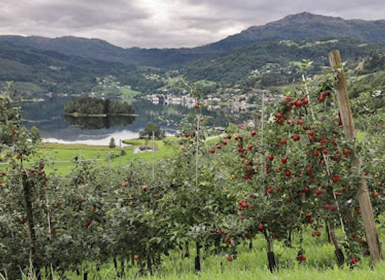 norway/hardangervidda-national-park/landmark/siderruta