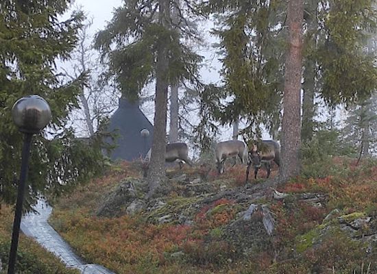 finland/ruka/landmark/villa-vuosselinranta