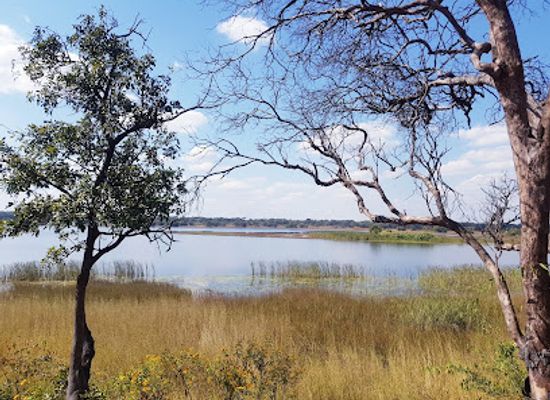 zambia/western-province/landmark/chembe-bird-sanctuary