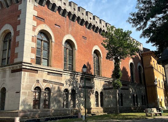 romania/timis/landmark/castle-of-huniade